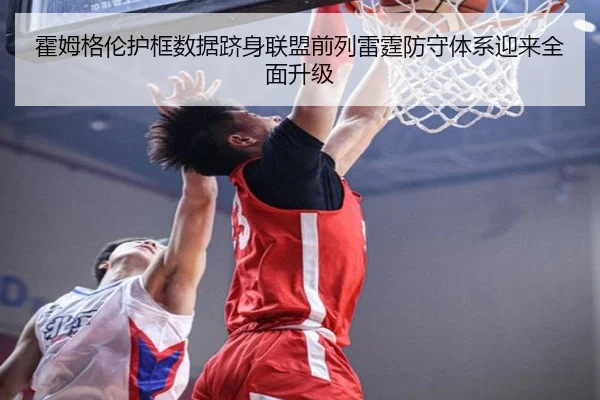 霍姆格伦护框数据跻身联盟前列雷霆防守体系迎来全面升级