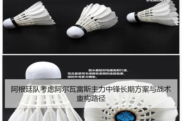 阿根廷队考虑阿尔瓦雷斯主力中锋长期方案与战术重构路径 - kaiyun