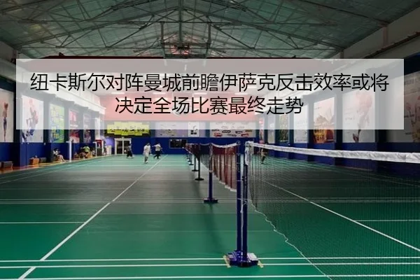 纽卡斯尔对阵曼城前瞻伊萨克反击效率或将决定全场比赛最终走势 - kaiyun
